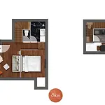 Nochichi-collections - Saint-honore